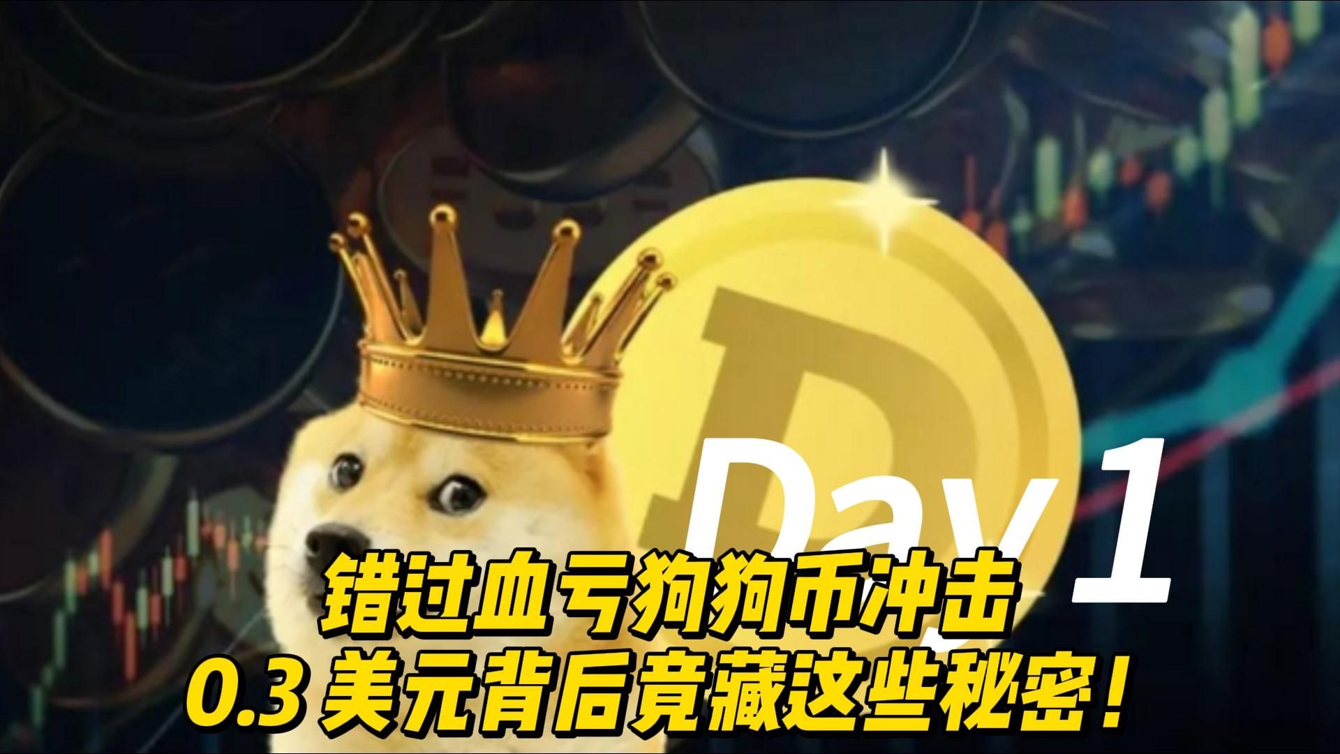 关于狗狗币冲破128美元大关，牛市是否已来临？的信息